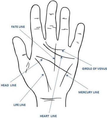 Palm Reading - Palm Lines
