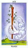 Ace of Wands